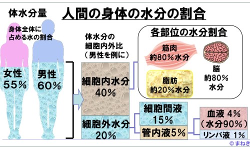 直肠给药是塞肛门吗、直肠给药塞到什么程度 -直肠用药怎么塞网